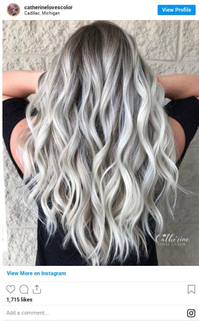 silver hair color ideas instagram