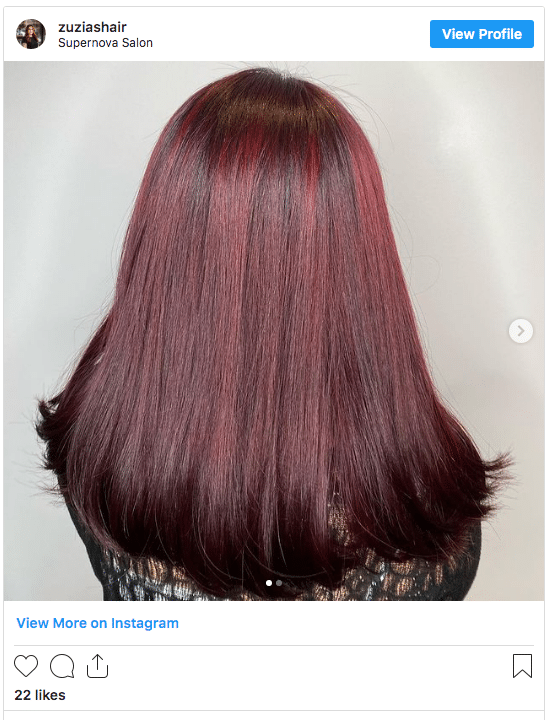 burgundy hair without bleach instagram