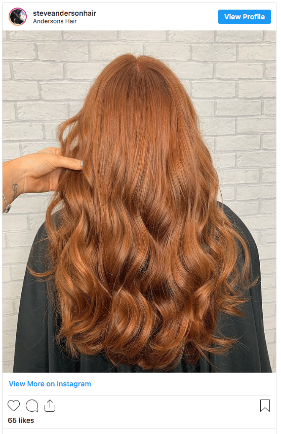 copper hair color idea instagram