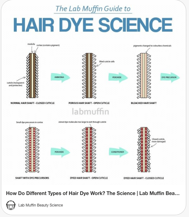 hair science cuticle color molecules infographic