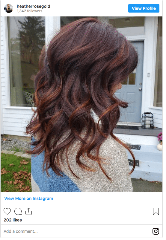 red-brown color highlights