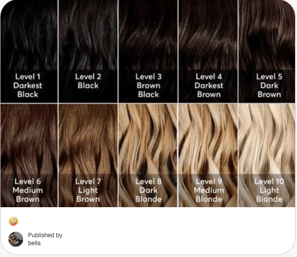 hair color levels chart pinterest post