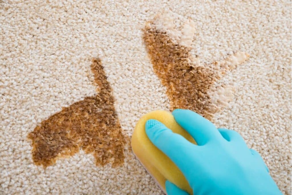 removing stain from carpet