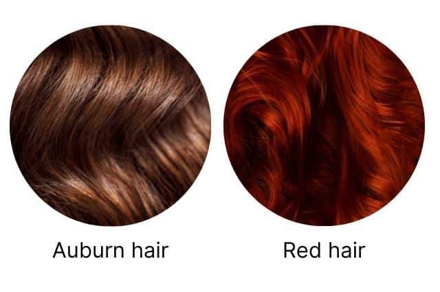 Auburn hair vs red hair