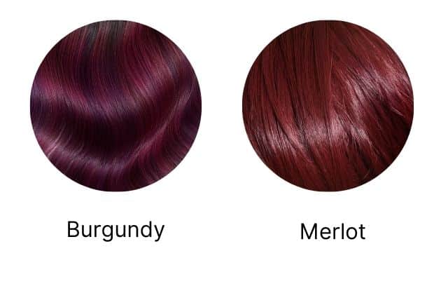 difference burgundy and red wine hair color infographic
