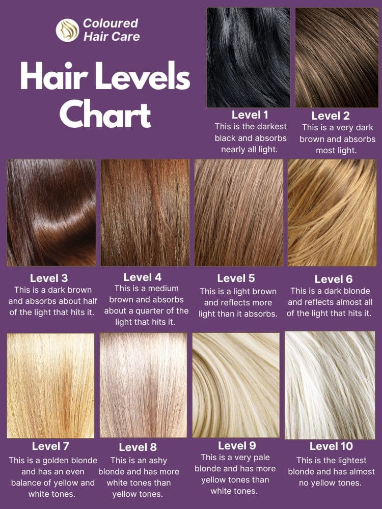 hair level chart infographic dark to light hair levels 1-10