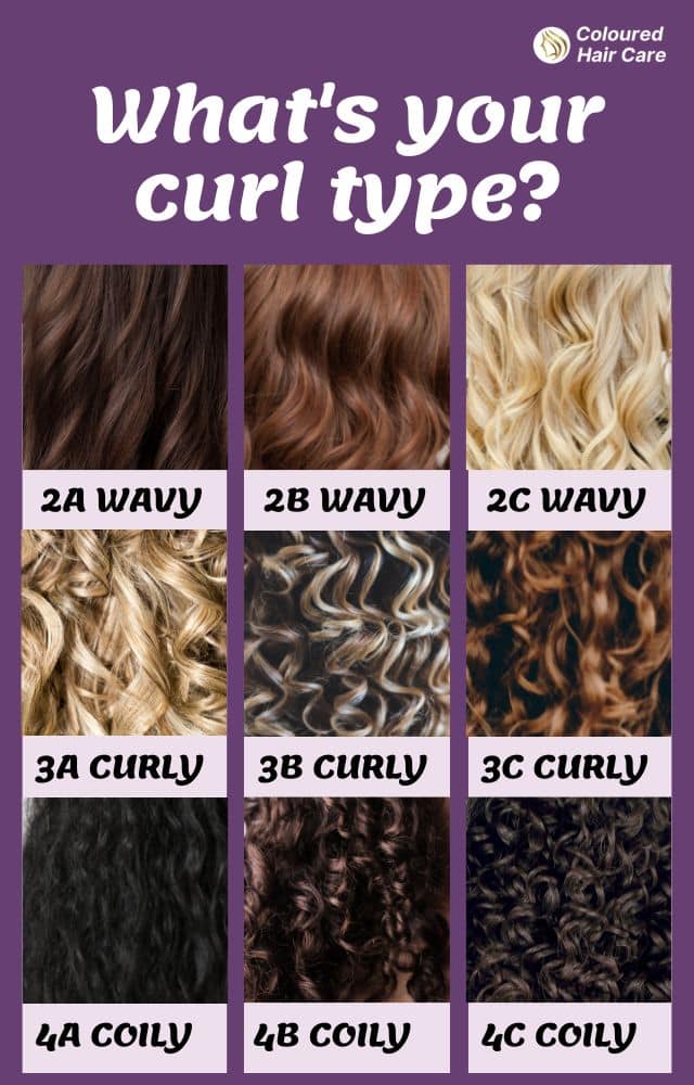 what's your curl pattern custom infographic - 2a wavy, 2b wavy, 2c wavy, 3a curly, 3b curly, 3c curly, 4a coily, 4b coily, 4c coily