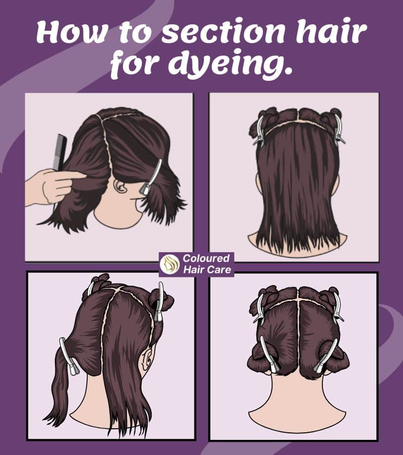 how to section hair for dyeing infographic