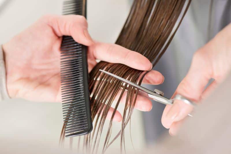 hair salon professional regular trims