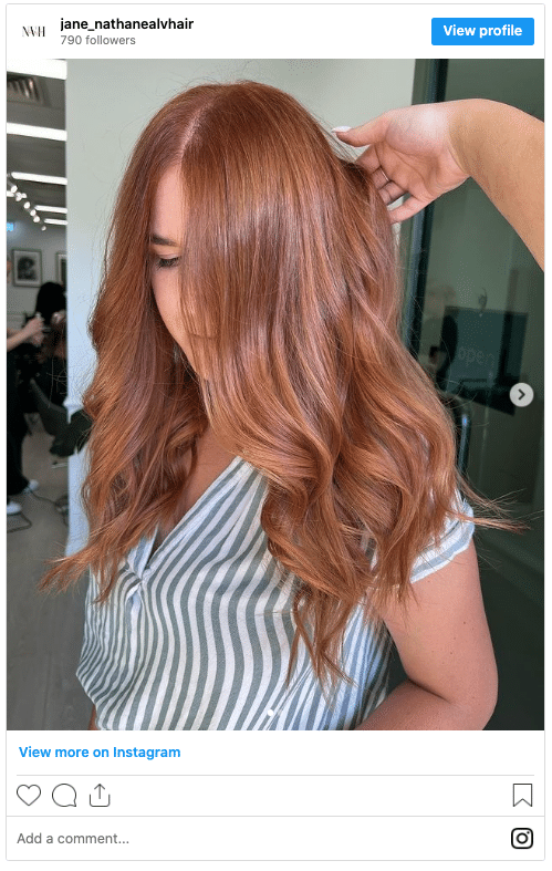 chestnut copper hair color instagram post