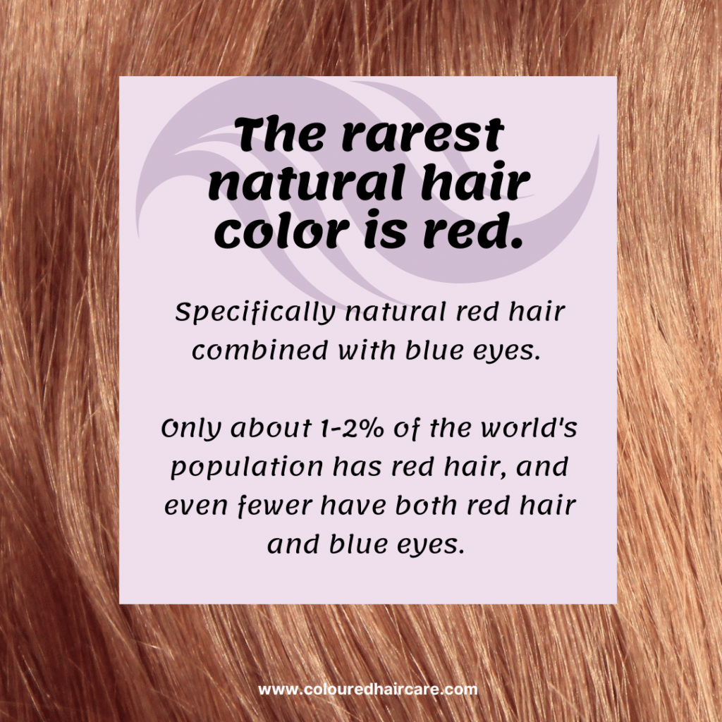 infographic - The rarest natural hair color is red, specifically natural red hair combined with blue eyes. Only about 1-2% of the world's population has red hair, and even fewer have both red hair and blue eyes. While red hair can be found in various parts of the world, it's most commonly associated with people of northern and western European ancestry. Other hair colors like natural blonde and specific shades of brown are also less common than black or dark brown hair, but red remains the rarest.