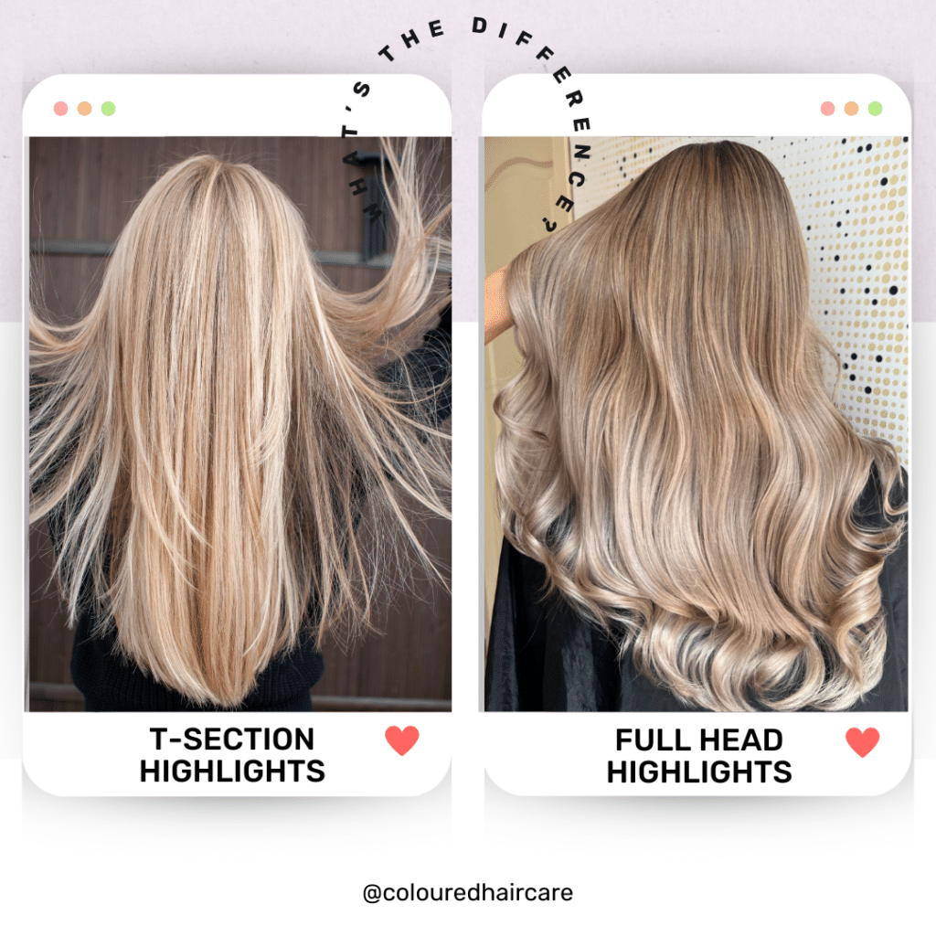 t-section vs full head highlights whats the difference