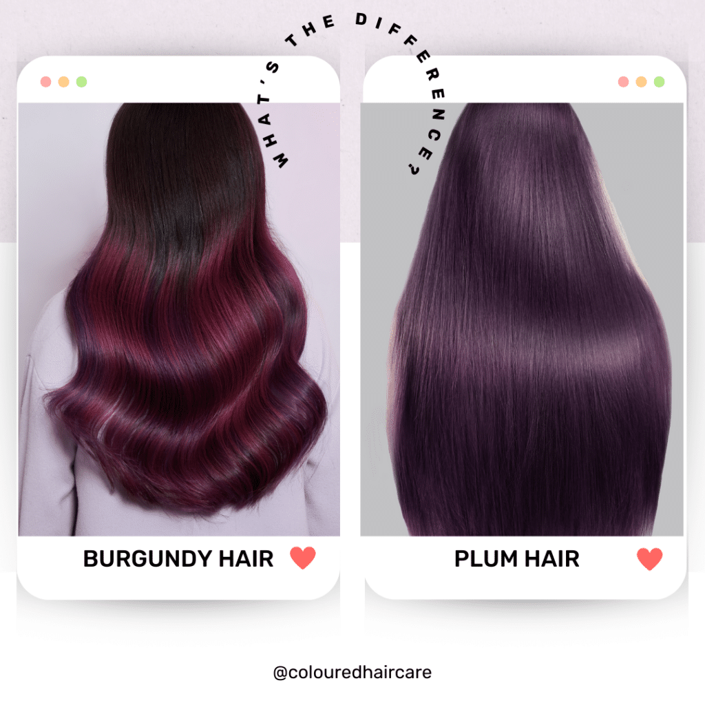 what's the difference between plum hair and burgundy hair comparison