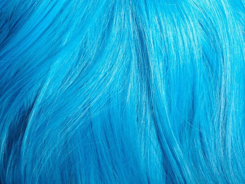 how to dye blue hair at home